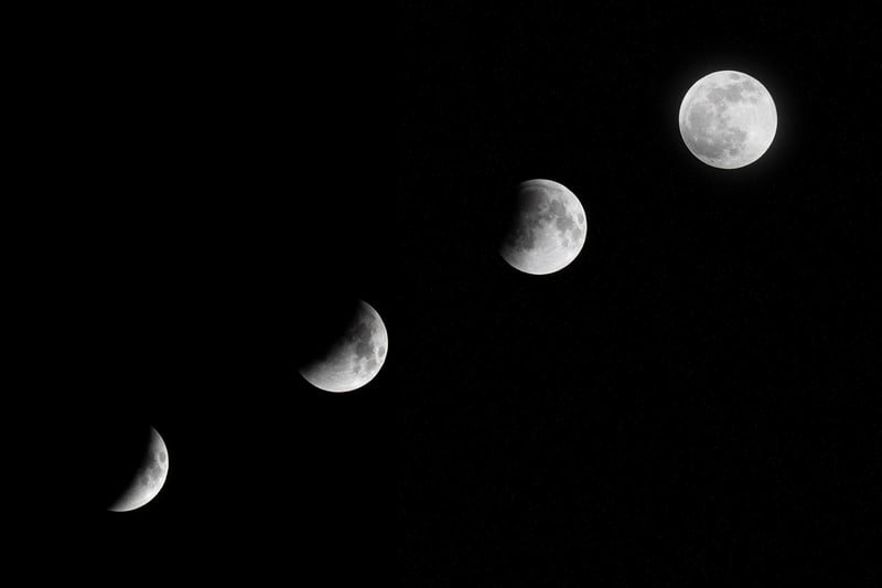 Moon Phase Treats